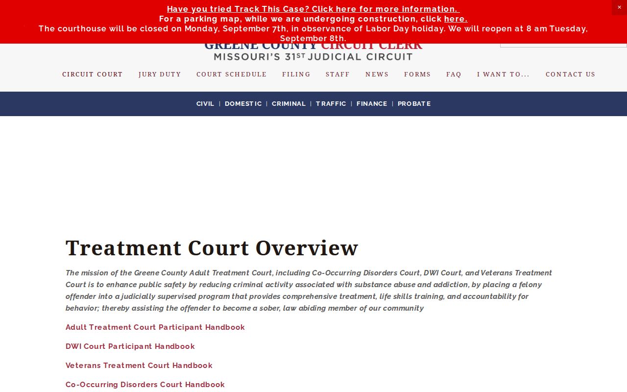 Greene County criminal court docket Treatment Court program information